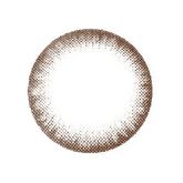 NEO N013 Extra Dali Chocolate Colored Contact Lenses 6 months disposable (1 Pack)